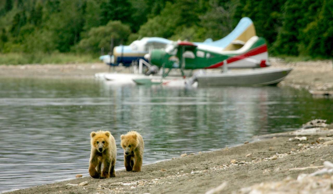 Stillpoint Lodge - All-Inclusive Halibut Cove エクステリア 写真
