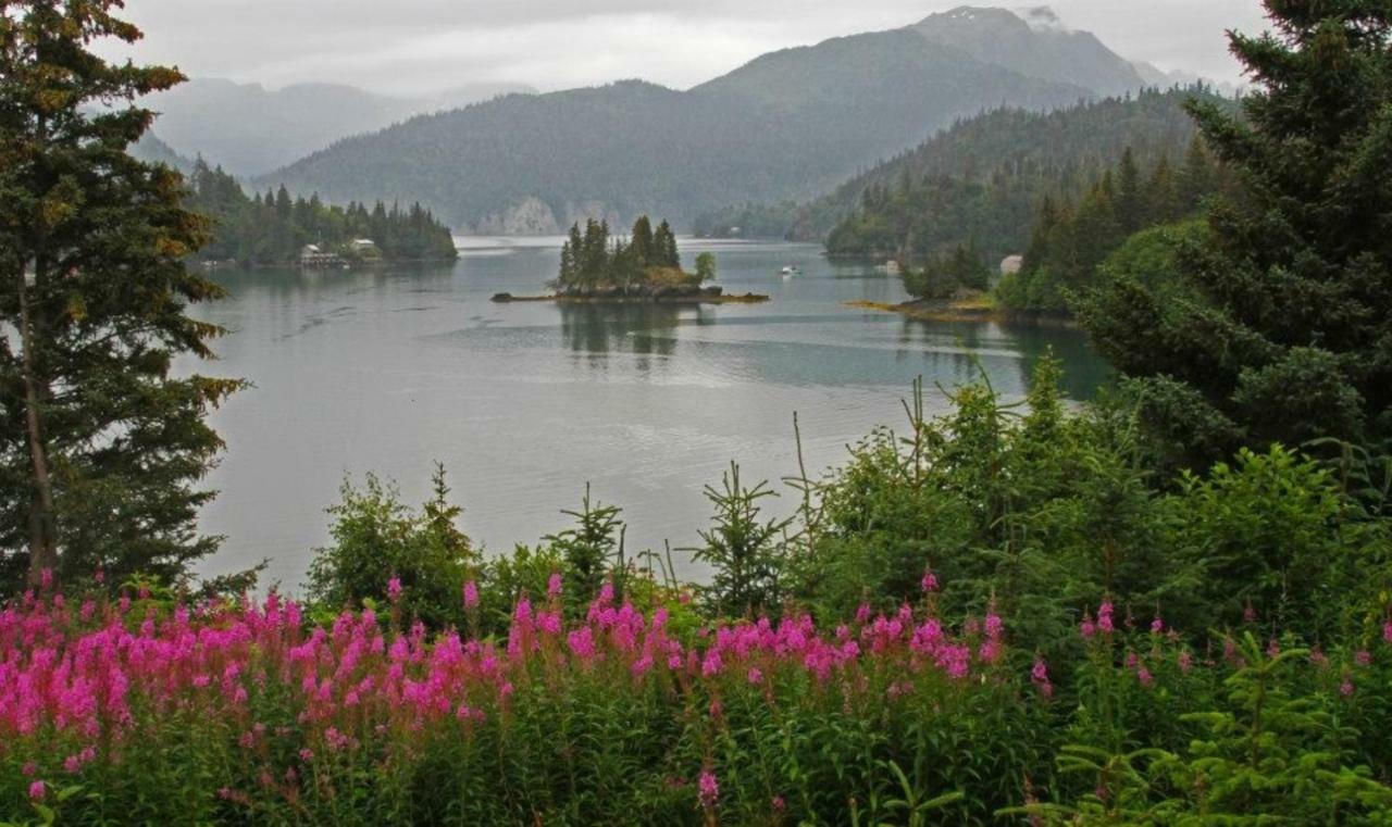 Stillpoint Lodge - All-Inclusive Halibut Cove エクステリア 写真